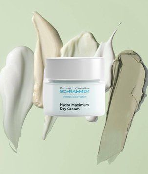 Hydra Maximum Day Cream Денний крем "Максимальне зволоження" 471000 фото
